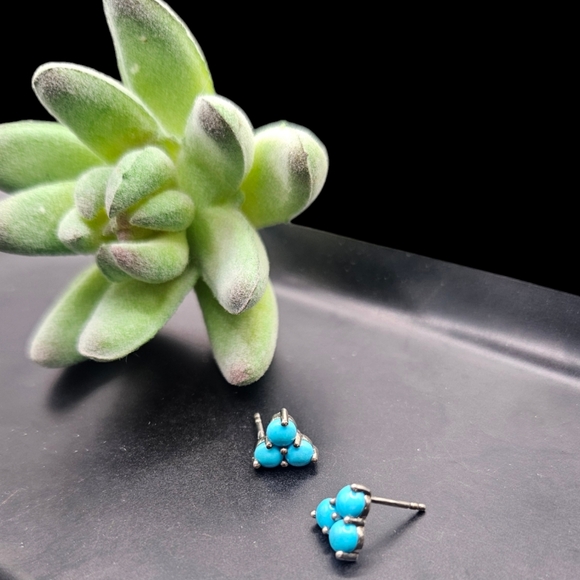 Turquoise Trinity Earrings - Picture 3 of 5